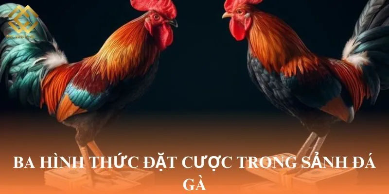 Ba hình thức đặt cược trong sảnh đá gà
