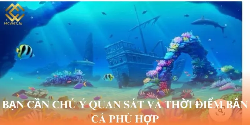 Bạn cần chú ý quan sát và thời điểm bắn cá phù hợp