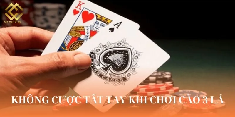 Bạn không nên cược tất tay cho một ván bài cào 3 lá