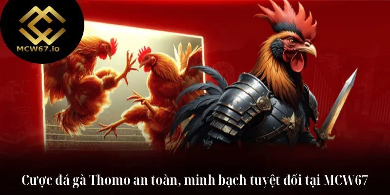 Cược đá gà Thomo an toàn, minh bạch tuyệt đối tại MCW67