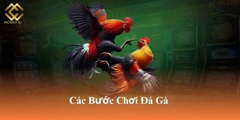 Hướng dẫn cách tham gia chơi đá gà tại MCW67 chi tiết các bước