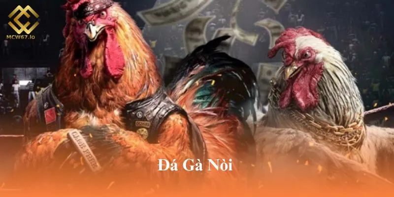 Đá gà nòi