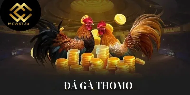 Đá gà Thomo