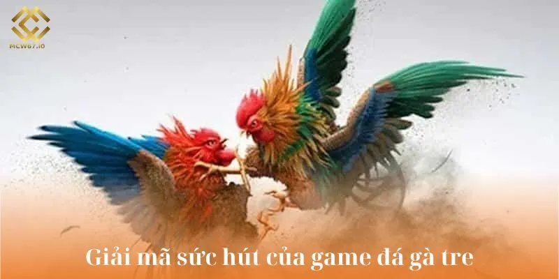 Đá gà tre - Game cá cược kịch tính