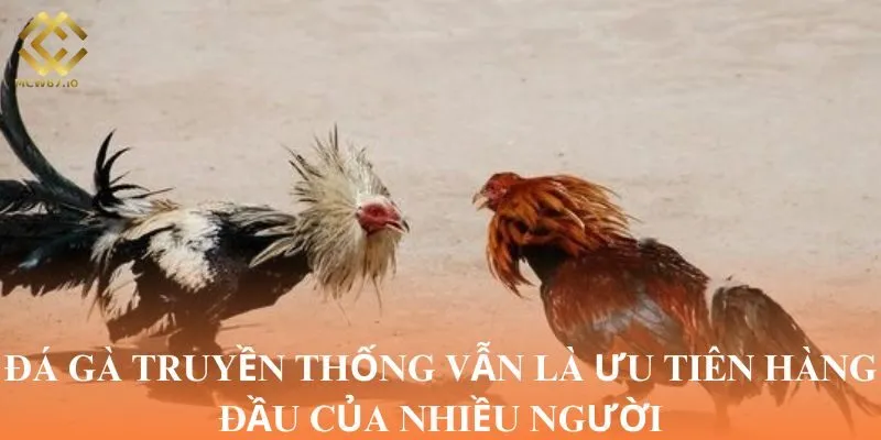 Đá gà truyền thống vẫn là ưu tiên hàng đầu của nhiều người