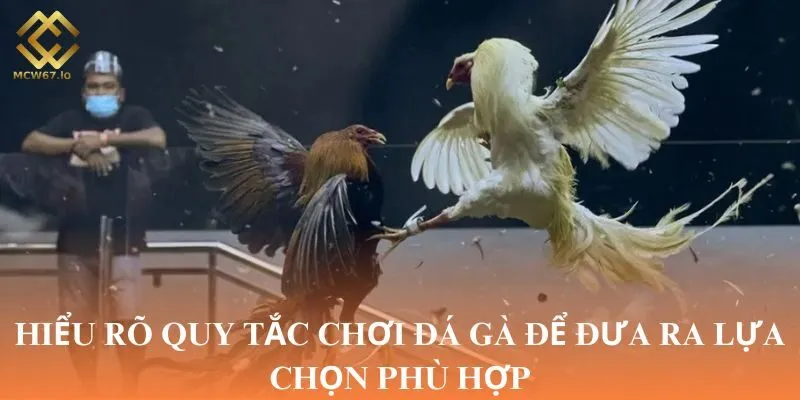 Hiểu rõ quy tắc chơi đá gà để đưa ra lựa chọn phù hợp