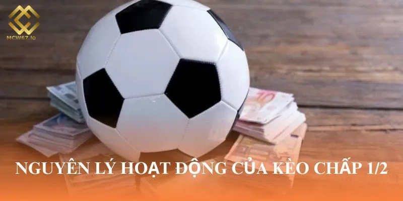 Nguyên lý hoạt động của kèo chấp 1/2