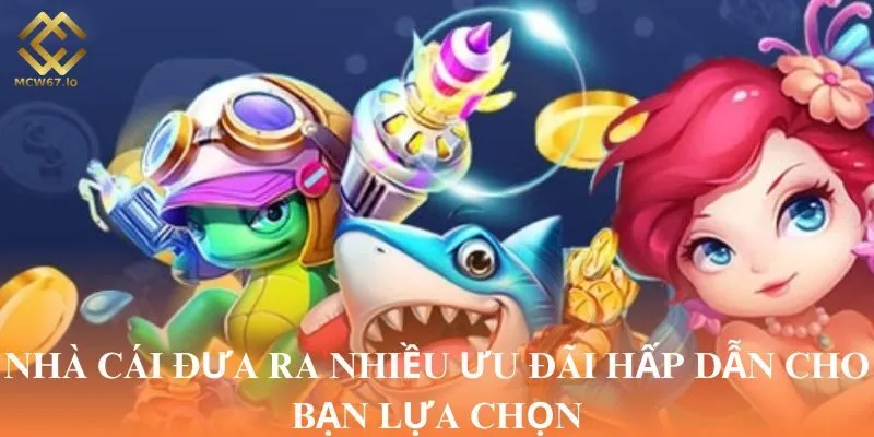 Nhà cái đưa ra nhiều ưu đãi hấp dẫn cho bạn lựa chọn