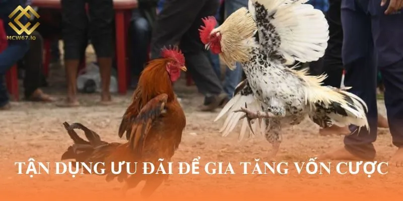 Tận dụng ưu đãi để gia tăng vốn cược